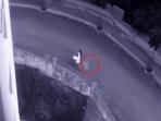 Hiii, Perhatikan Lingkaran Merah dalam Rekaman CCTV Ini, Ada Sosok yang Bikin Pingsan!