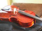 cello-gambar-alat-musik.jpg
