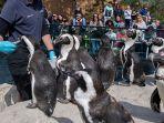 central-park-zoo.jpg