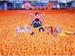 centrum-million-balls.jpg