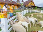 cepogo-cheese-park-satu-tempat-wisata-baru-di-boyolali.jpg