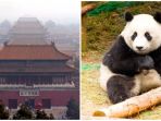 china_20171205_144816.jpg