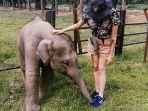 chitwan-national-park-nepal.jpg