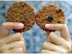 choco-cips-oatmeal-cookies.jpg