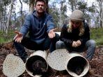 chris-hemsworth-dan-elsa-pataky-melepaskan-tasmanian-devil.jpg