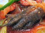 claw-crocodiles-soup.jpg