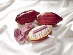 cokelat-pink_20180214_133353.jpg