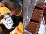 cokelat_20171027_133856.jpg