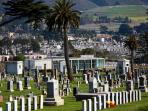 colma_20161001_185037.jpg