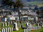 colma_20170510_112955.jpg