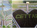 crop-circle.jpg