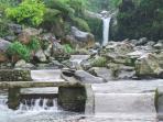 curug-bayan_20160821_104008.jpg