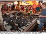 daging-anjing-dan-kucing-juga-dijual-di-sana.jpg