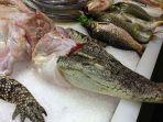 daging-buaya-yang-dijual-di-china.jpg
