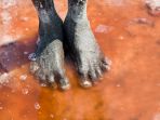 danau-natron_20171006_124450.jpg