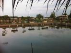 danau-siombak_20160807_151517.jpg