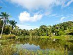 danau-teratai-di-pulau-ubin.jpg