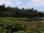danau-togu-motonu_20160826_192648.jpg