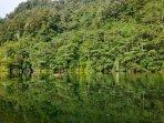 danau-wae-ela-di-negeri-lima.jpg