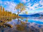 danau-wanaka_20171206_135328.jpg