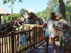 daniel-alves-dan-joana-sanz-liburan-ke-bali-safari.jpg
