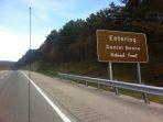 daniel-boone-national-forest.jpg