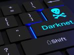 darknet_20180331_082302.jpg