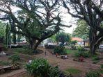 de-djawatan-benculuk-banyuwangi.jpg