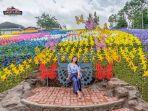 de-windmills-cimory-dairyland-prigen.jpg