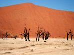 deadvlei-namibia_20180426_195434.jpg