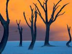deadvlei-namibia_20180508_144315.jpg