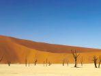 deadvlei.jpg