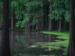 deretan-penemuan-aneh-yang-pernah-ditemukan-di-danau.jpg