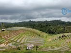 desa-belimbing_20180801_085548.jpg