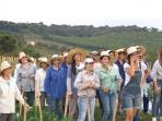 desa-noiva-do-cordiero-di-brazil_20161119_223053.jpg
