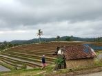 desa-wisata-belimbing_20180807_184958.jpg