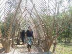 destinasi-wisata-di-bukit-lintang-sewu-bantul.jpg