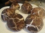 dim-sum_20171204_074748.jpg