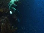 dinding-st-croix-virgin-islands-amerika-serikat_20170411_212602.jpg