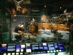 diorama-burung-di-museum-bruce-di-greenwich.jpg