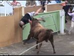 diserang-banteng_20170614_214126.jpg