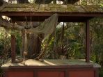 disneys-river-country_20180310_094700.jpg