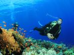 diving_20170205_112530.jpg