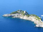 dolphin-island_20160906_164240.jpg