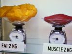 dua-kilogram-lemak-dibandingkan-dua-kilogram-otot_20170619_181109.jpg