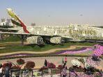 dubai-miracle-garden.jpg