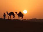 dubai-safari-desert_20170417_215623.jpg
