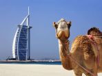 dubai_20170510_220820.jpg