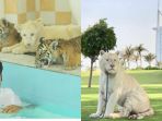 dubai_20180526_202719.jpg