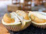 durian-11.jpg